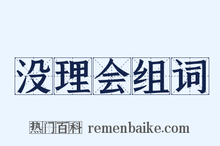 没理会组词是什么意思的图片